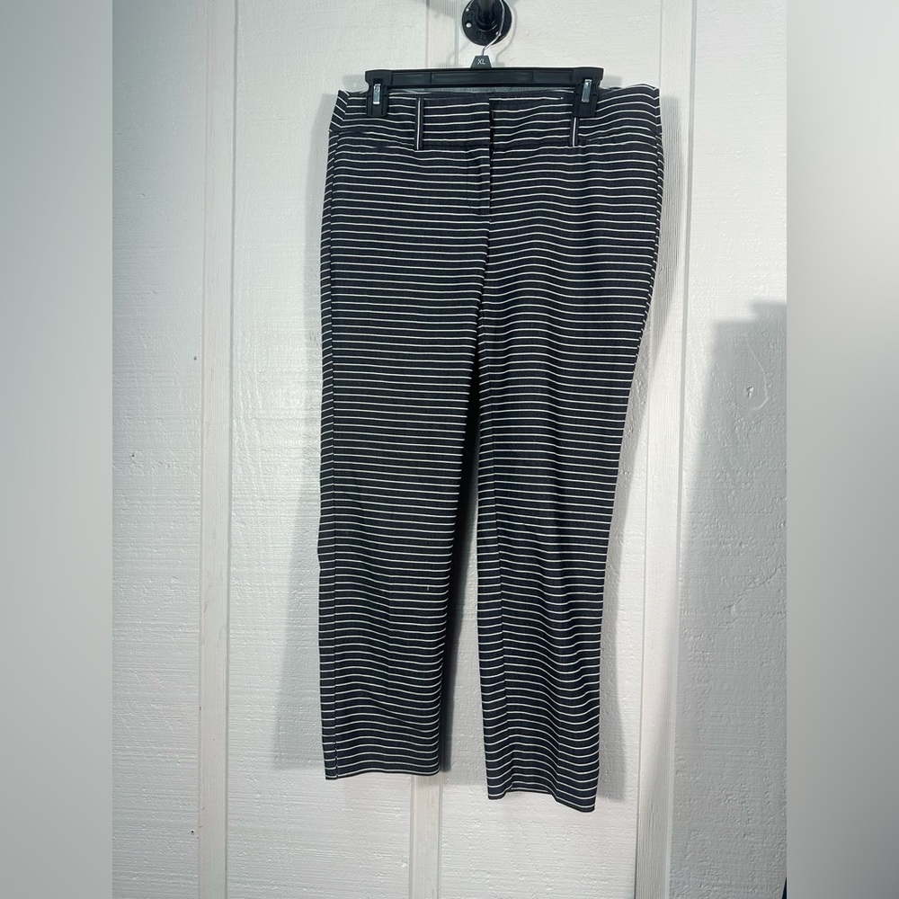 ANN TAYLOR LOFT Marisa Women Blue Stripe Ankle Pant Size 4 EUC